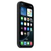 Силиконовый чехол для Apple IPhone 16 Pro Max Silicone Case Черный