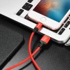 Кабель USB для Apple Lightning Hoco X14 1м Красный