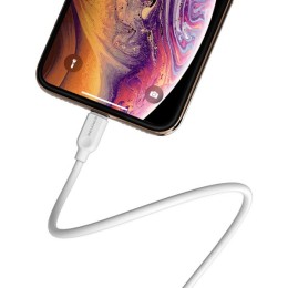 Кабель USB для Apple Lightning Borofone BX14 2м Белый