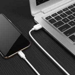 Кабель USB для Apple Lightning Borofone BX14 2м Белый