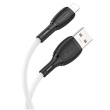 Apple Lightning