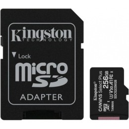 Карта памяти Kingston microSDXC Class 10 UHS-I U1 256Gb SDCS2/256GB