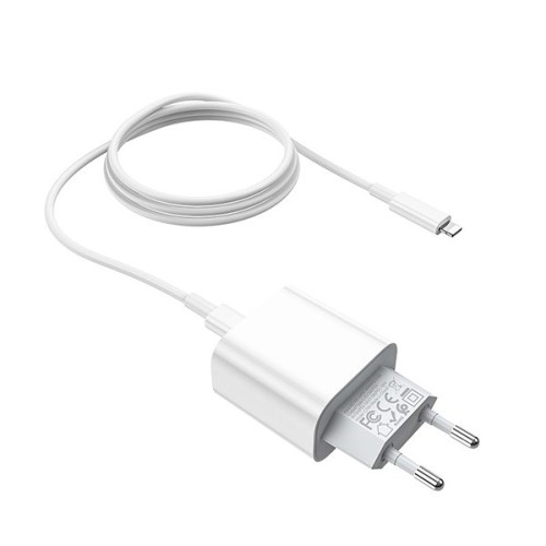 Сетевое зарядное устройство Hoco C76А Plus и кабель Lightning Белое