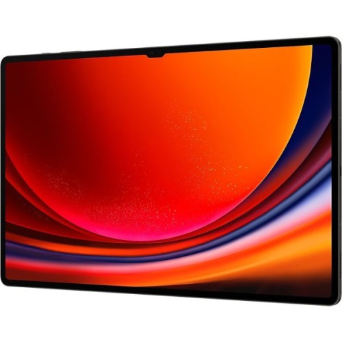 Планшет Samsung Galaxy Tab S9 Ultra 16/1Tb Wi-Fi RU Graphite