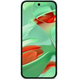 Google Pixel 9 12/128Gb Global Wintergreen