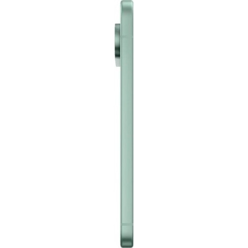 Google Pixel 9 12/128Gb Global Wintergreen