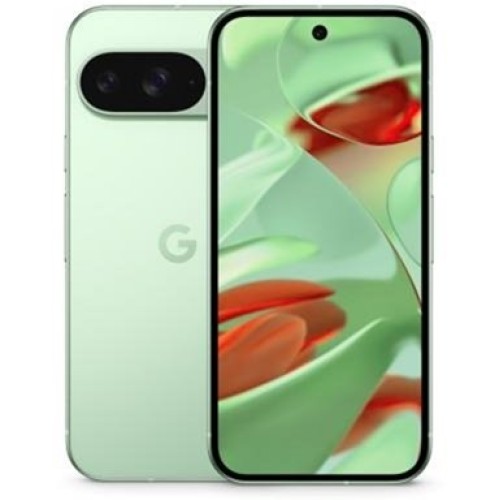 Google Pixel 9 12/128Gb JP Wintergreen