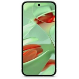 Google Pixel 9 12/128Gb JP Wintergreen