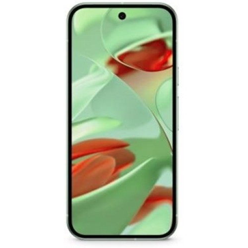 Google Pixel 9 12/128Gb JP Wintergreen