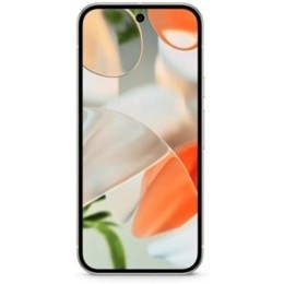 Google Pixel 9 12/256Gb JP Porcelain