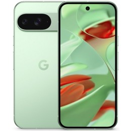 Google Pixel 9 12/256Gb Global Wintergreen