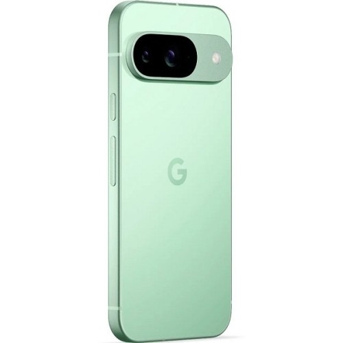 Google Pixel 9 12/256Gb Global Wintergreen