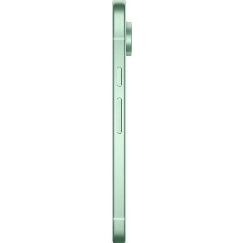 Google Pixel 9 12/256Gb Global Wintergreen