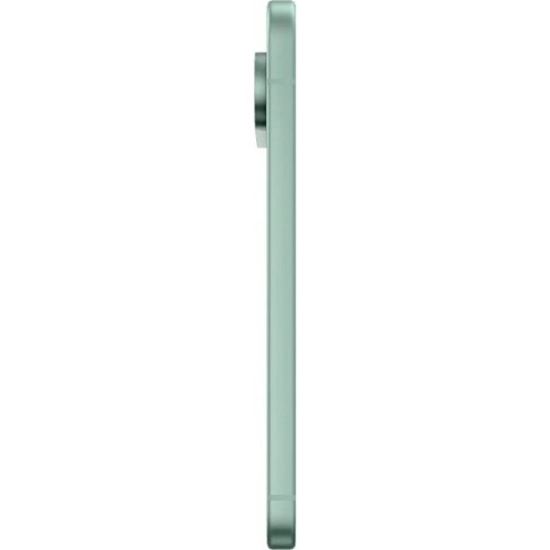 Google Pixel 9 12/256Gb Global Wintergreen