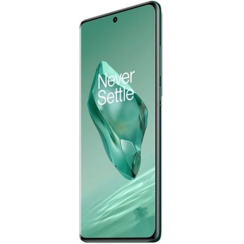 Смартфон OnePlus 12 16/512Gb Flowy Emerald