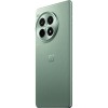 Смартфон OnePlus 12t Ace 3 Pro 24/1Tb Green Field
