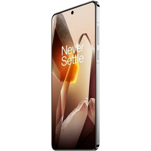 Смартфон OnePlus 13 12/256Gb Global Arctic Dawn