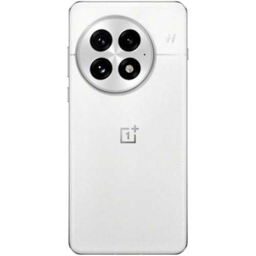 Смартфон OnePlus 13 12/256Gb Global Arctic Dawn