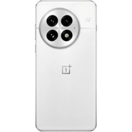 Смартфон OnePlus 13 12/256Gb Arctic Dawn