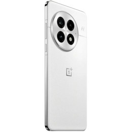 Смартфон OnePlus 13 24/1Tb Global Arctic Dawn