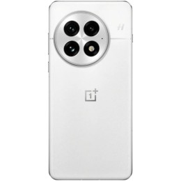 Смартфон OnePlus 13 16/512Gb Arctic Dawn