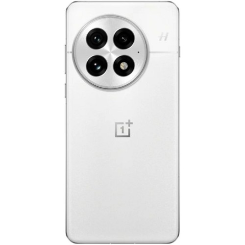 Смартфон OnePlus 13 24/1Tb Arctic Dawn