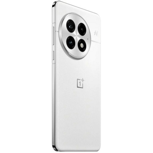 Смартфон OnePlus 13 16/512Gb EU Arctic Dawn