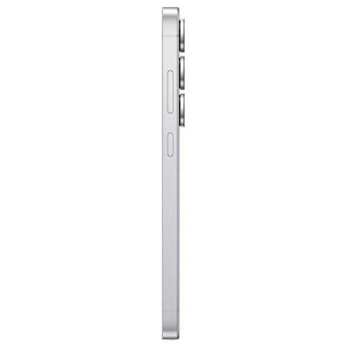 Samsung Galaxy S25 Ultra 12/256Gb RU Titanium Silver
