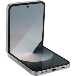 Samsung Galaxy Z Flip 6 12/256Gb RU Silver Shadow
