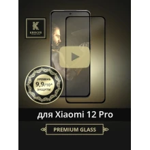 12 Pro