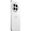 Смартфон OnePlus 13 24/1Tb Arctic Dawn