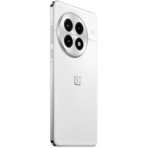 Смартфон OnePlus 13 24/1Tb Arctic Dawn