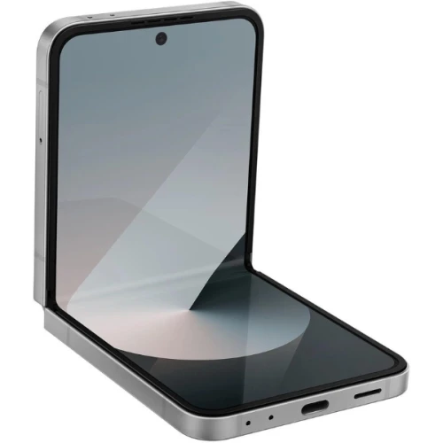 Samsung Galaxy Z Flip 6 12/256Gb RU Silver Shadow